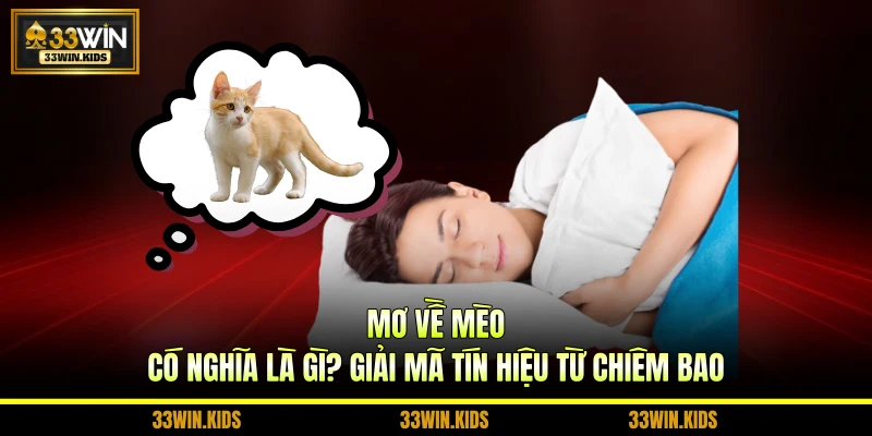 Mơ Về Mèo Có Nghĩa Là Gì